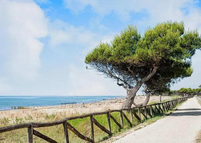 First Floor Flat With Terrace And Pool Access Apartment Bibione